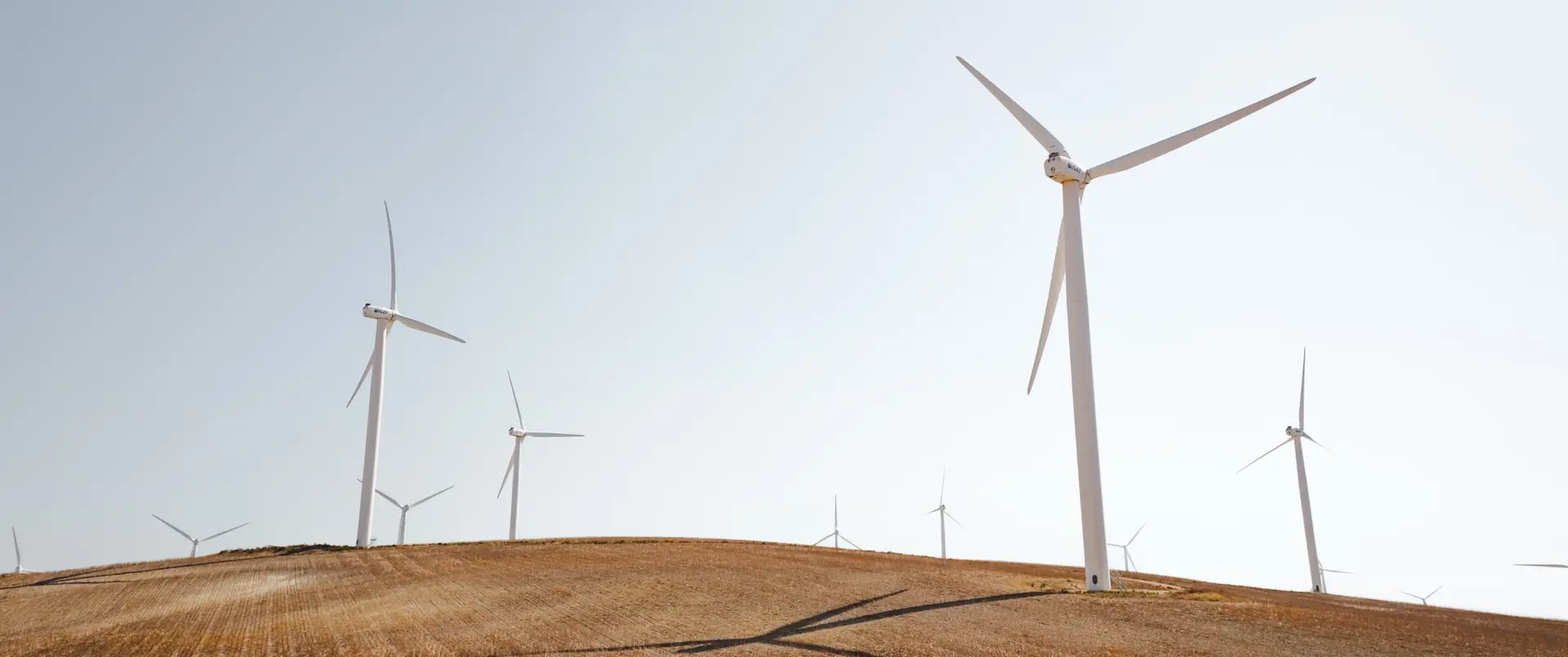 Activos de energía renovable